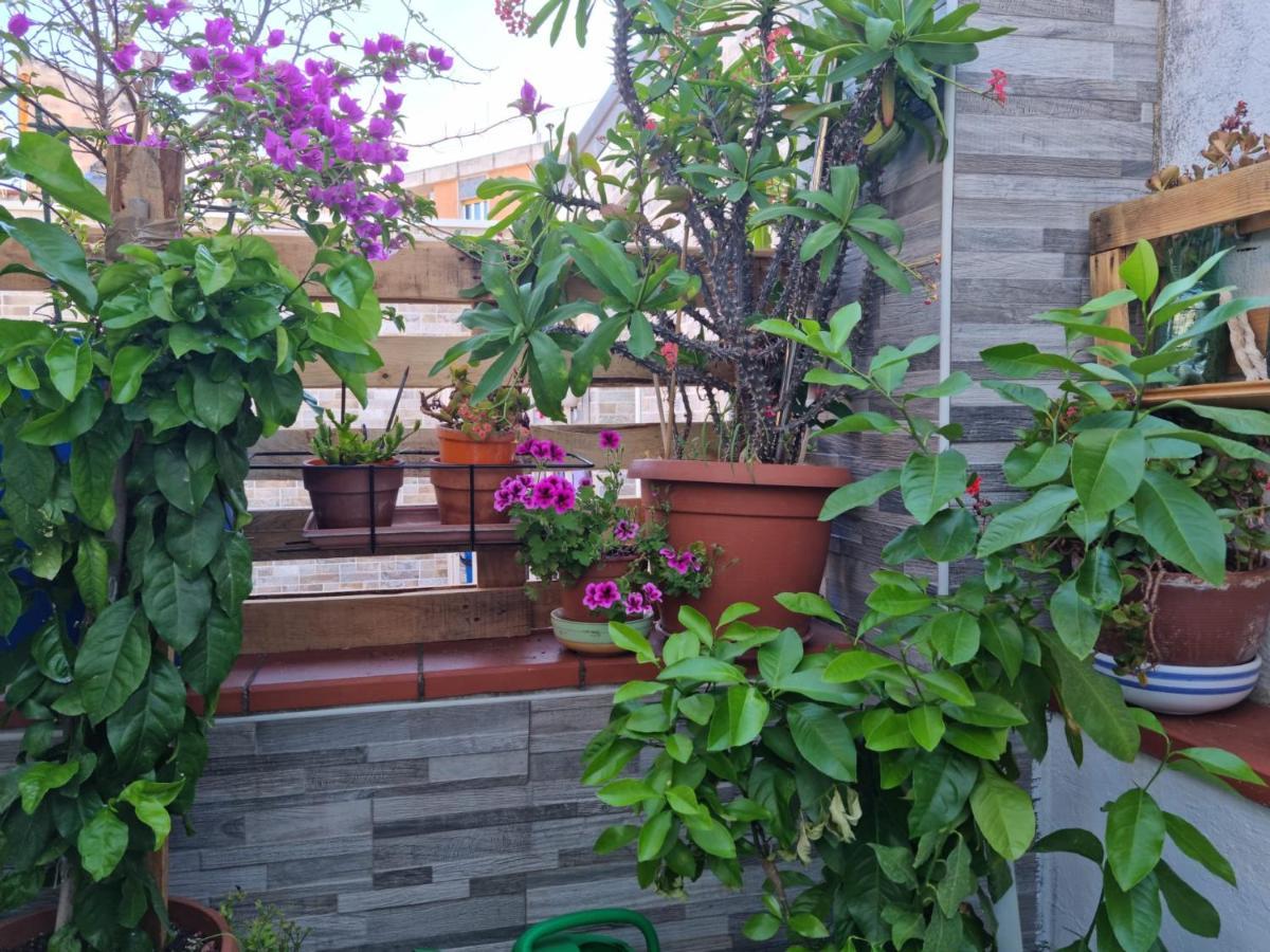 מטרה Residenza Lucana מראה חיצוני תמונה