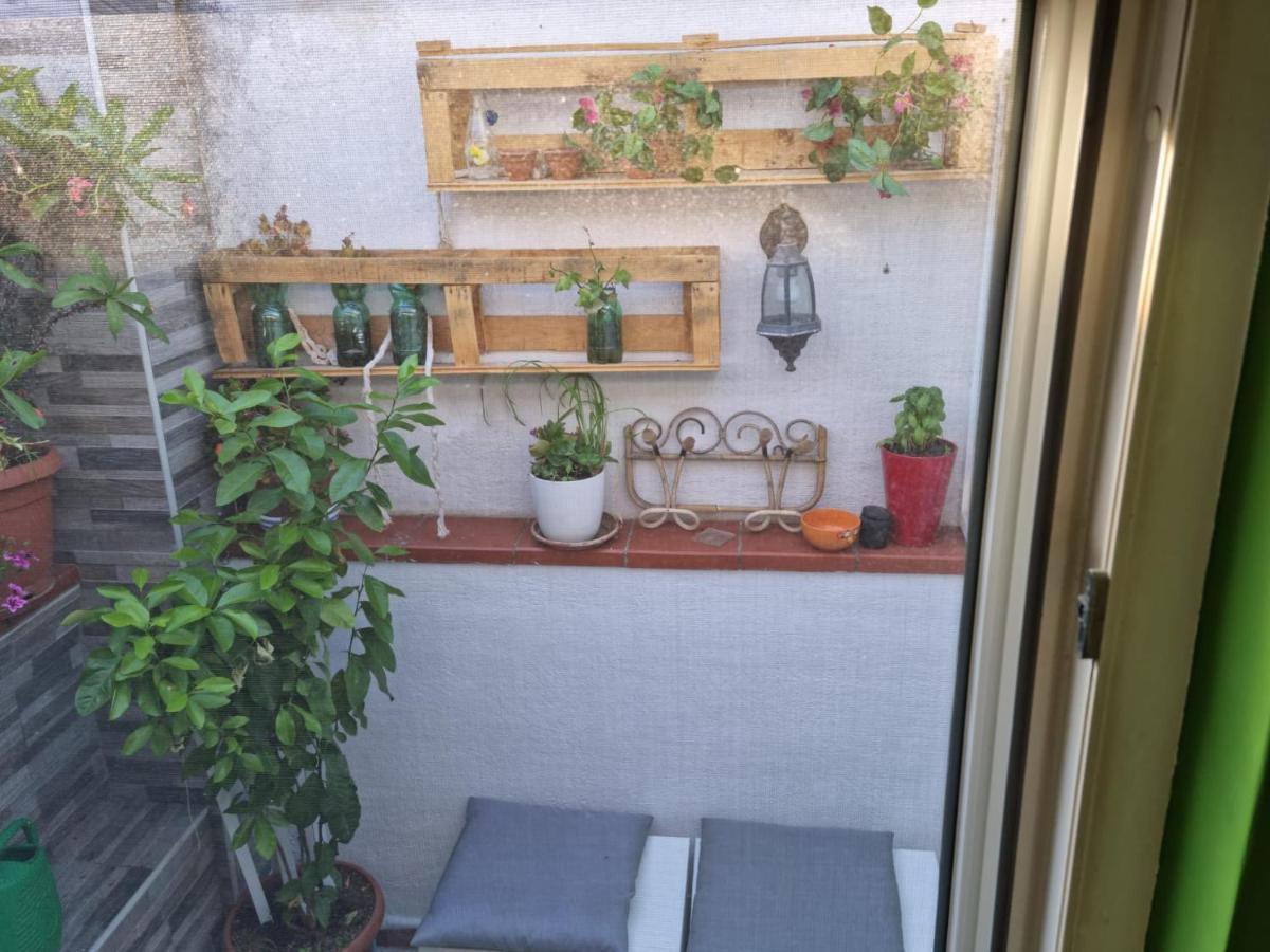 מטרה Residenza Lucana מראה חיצוני תמונה